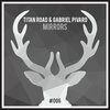 Titan Road、Gabriel Pivaro - Mirrors (Original Mix)