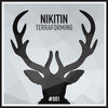 Nikitin - Terraforming (Original Mix)