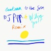 cantoma - To the Sea (DJ Pippi & Willie Graff Remix)