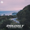 David Shane、Forbes - Endlessly