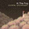 Dominik Andersen - In the Fog