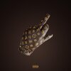 Amuly、Azteca - POT (Explicit)