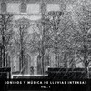 Sonidos De Truenos y Lluvia、Lluvia del Bosque、Lluvia para un sueño profundo - El Sonido Del Silencio