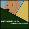 Puppy Music、Puppy Music Therapy - Calm Puppy Play