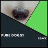 Puppy Music、Puppy Music Therapy - Golden Warmth Understanding