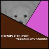 Puppy Music、Puppy Music Therapy - Golden Warmth Understanding