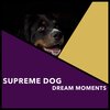 Puppy Music、Puppy Music Therapy - Calm Puppy Play