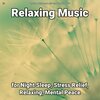 Relaxing Music by Rey Henris、Yoga、Relaxing Music - Relaxation Music Pt. 1