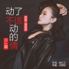 潘婉婷 - 动了不该动的情 (DJ版)