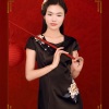 许立琳 - 发财发福中国年