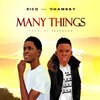 Zico、Dhamssy - Many Things (Explicit)
