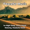 Relaxing Music by Dominik Agnello、Relaxing Spa Music、Yoga - Peaceful Music Pt. 1