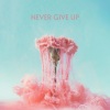 Jeffrey James、lonis - Never Give Up