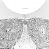 Veneer - Let Me Be