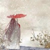 姚小闹 - 西厢寻他 (戏腔版)