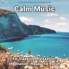Relaxing Music by Dominik Agnello、Yoga、Relaxing Spa Music - Calm Music, Pt. 1