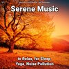 Relaxing Music by Terry Woodbead、Yoga、Relaxing Music - Serene Music, Pt. 1