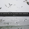 Sonidos De Pajaros、Ruido Del Sueno、Musica Relajante Para Dormir - Jipi De Naturaleza
