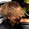 Hassan Moor - Hummus (Explicit)
