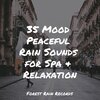 Relaxation Personal Guru、Rain Sounds Sleep、Sleep Sound of Nature - River, Medium, Stream, Creek