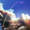Fabrication - Forget You