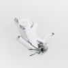 ASH ISLAND - Because