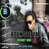 Boom Steppa、Fabian Wilson - Pickney Dem
