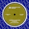 junior sanchez、Charlie Vox《Freedom (feat. Charlie Vox)(Sam Divine Remix)》[MP3/LRC]