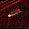 Predu2k、Endroo - Stiu ce fac (feat. Endroo)(Explicit)