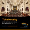 Cape Town Philharmonic Orchestra、Bernhard Gueller - Symphony No. 2 in C Minor (Little Russian), Op. 17 - I. Andante sostenuto – Allegro vivo