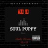 Soul Puppy Music、Pusha Persona、Alex B - Hit It (Explicit)