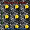 Steve Counsel - Beauty For Ashes