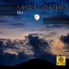 Zilli - Look at the Moon (RadioMix)