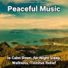 Relaxing Music by Rey Henris、Yoga、Relaxing Music - New Age Music