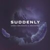 Chris Brunson、anointed - Suddenly