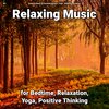 Relaxing Music by Dominik Agnello、Relaxing Spa Music、Yoga - Great Ambient Soundscapes for Children