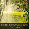 Musica relajante dormir、Naturaleza FX、Lluvia del Bosque - Mirando Lluvias