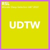 RSL - Song for you (Stream Edit)