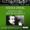 Erik Schaeffler、Stefan Zweig - Kapitel 1