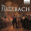 Jed Wentz、Michael Borgstede - I. Adagio ma non tanto