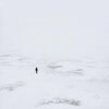 Thylacine - POLAR