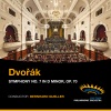 Cape Town Philharmonic Orchestra、Bernhard Gueller - Symphony No. 7 in D Minor, Op. 70 - I. Allegro maestoso