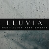 Sonidos De Truenos y Lluvia、Sonido de lluvia、Lluvia del Bosque - Pausa Reflectiva
