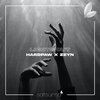 HardPaw、Zeyn、Satsuma Music - Lights Out