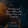 Sleep Sound of Nature、Meditative Music Guru、Sleep Songs with Nature Sounds - Gentle Ocean Waves