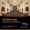 Cape Town Philharmonic Orchestra、Bernhard Gueller、Luke Bond - 1. Andante – Scherzo. Allegro con anima – Molto piu tranquillo