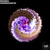 Monodeluxe - Something Around You