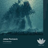 Jaksa Pavicevic - Chululesque