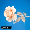 Lost.、Honeyfox、Pop Mage - Beautiful Now