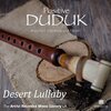 Theo Travis、Garry Judd - Desert Lullaby